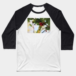 Magnolia vine - Schisandra rubriflora Baseball T-Shirt